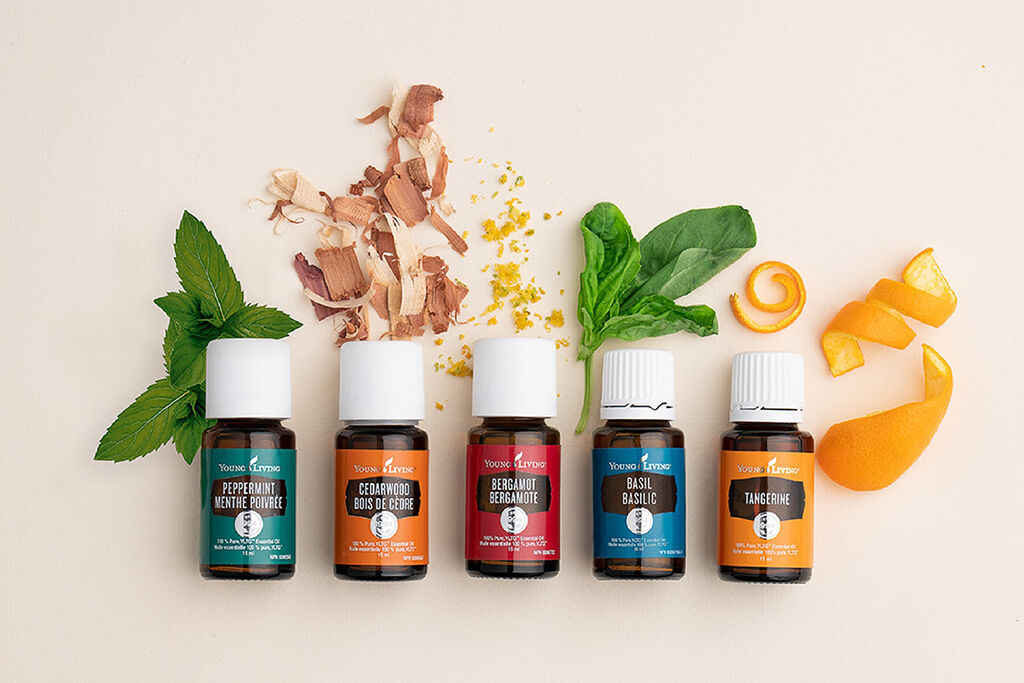 Young Living essential oil bottles — Peppermint, Cedarwood, Bergamot, Basil, and Tangerine with fresh botanicals